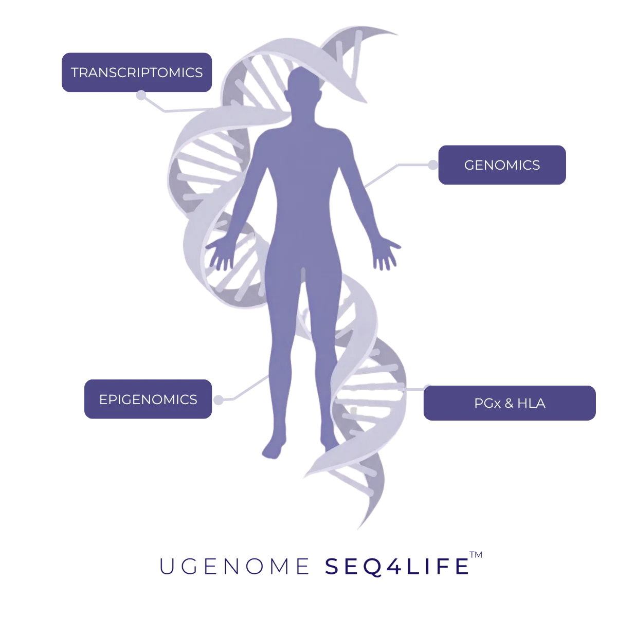 Seq4Life by UGenome - Genomics, Transcriptomics, Epigenomics, and PGx & HLA